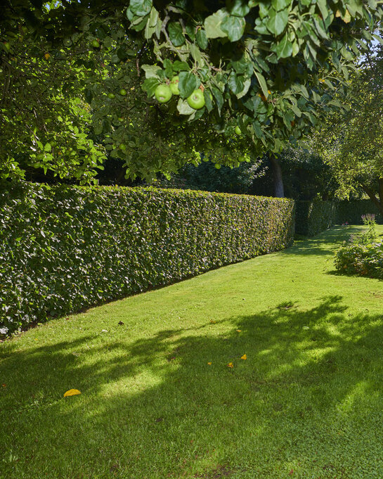 L’eau futée - Adoucissez votre jardin et en récolter les bénéfices