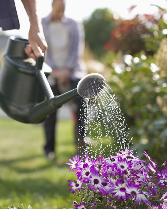 L’eau futée - Donnez à vos fleurs et plantes de l'eau de pluie