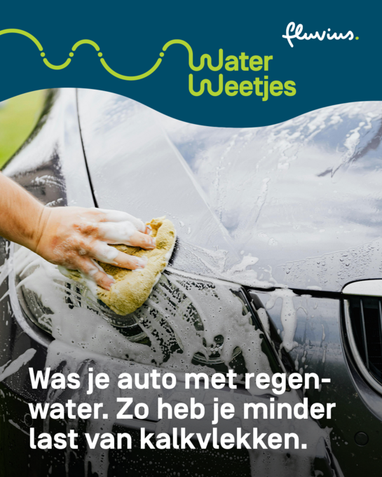 Was je auto met regenwater. Zo heb je minder last van kalkvlekken. Waterweetjes over auto wassen met regenwater