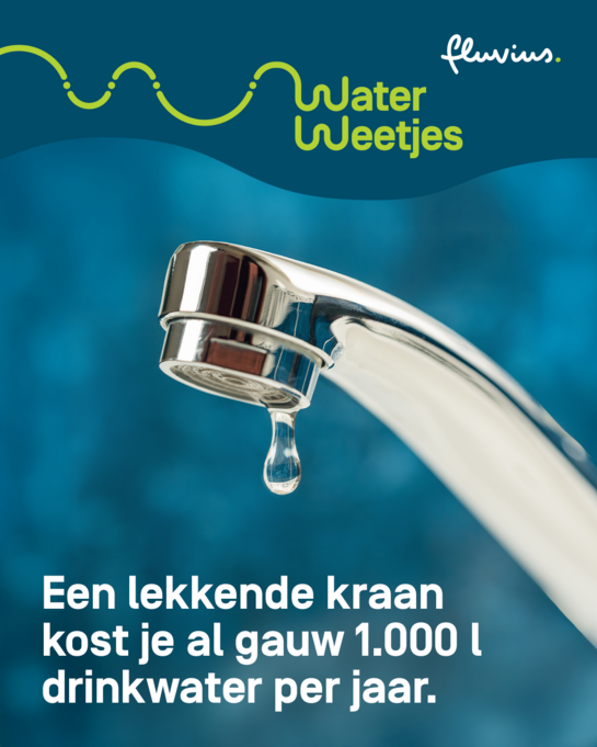 Een lekkende kraan kost je al gauw 1.000 L drinkwater per jaar. WaterWeetjes over een lekkende kraan
