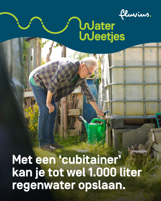 Met een cubitainer kan je wel 1.000 liter regenwater opslaan. Waterweetjes over regenwaterton