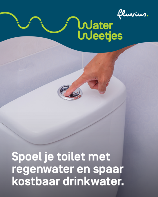 Spoel je toilet met regenwater en spaar kostbaar drinkwater. WaterWeetjes over toilet