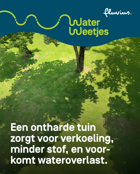 Een ontharde tuin zorgt voor verkoeling, minder stof, en voorkomt wateroverlast. WaterWeetjes over tuin ontharden
