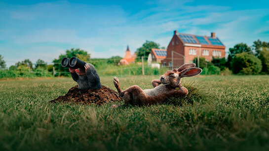 Illustratie van een mol met verrekijker en een haas in een weide met een huis met zonnepanelen op de achtergrond