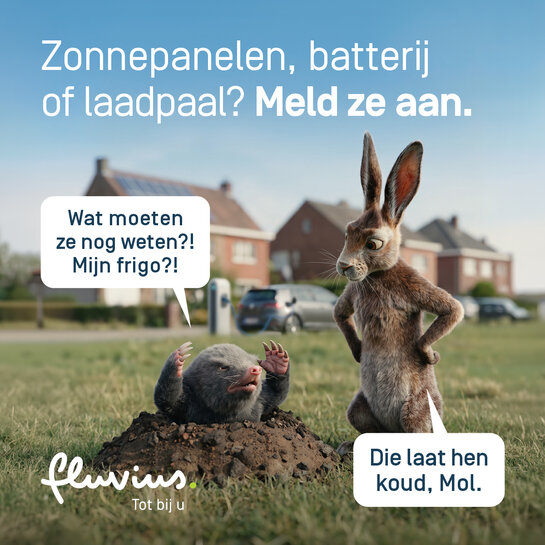 Mol en haas in een woonwijk met zonnepanelen en laadpaal; mol vraagt of een frigo ook aangemeld moet worden en haas legt uit dat huishoudtoestellen geen impact hebben op het elektriciteitsnet