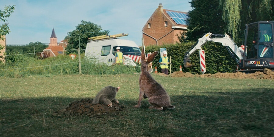 Mol en haas in conversatie